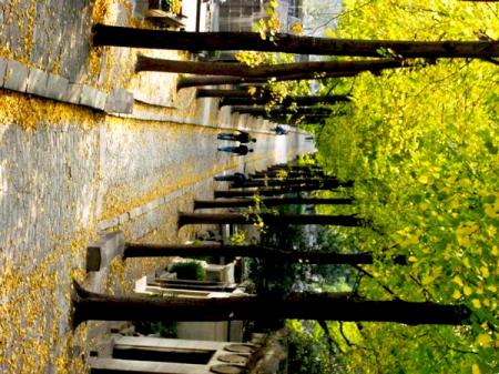 cimetiere du père lachaise octobre 2006